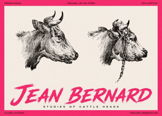 Jean Bernard Studies of Cattle Heads No3 - Plakát