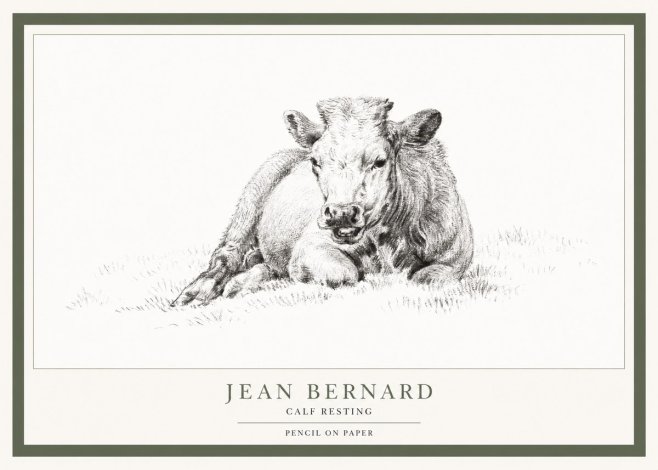 Jean Bernard Calf Resting No1 - Plakát
