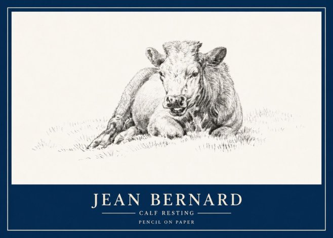Jean Bernard Calf Resting No3 - Plakát