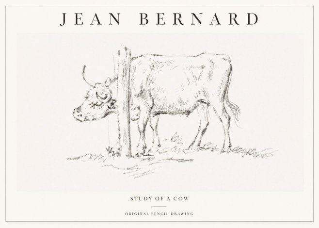 Jean Bernard Study of a Cow VII No1 - Plakát