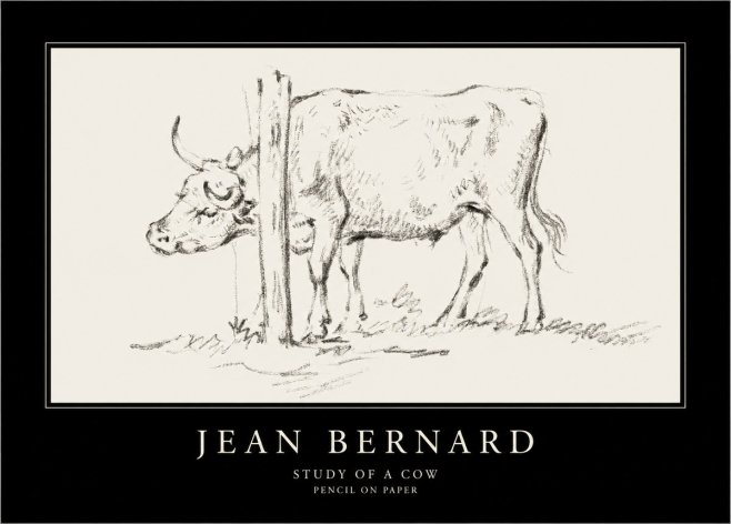 Jean Bernard Study of a Cow VII No4 - Plakát