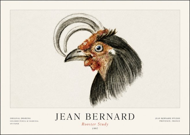 Jean Bernard Rooster Study No1 - Plakát