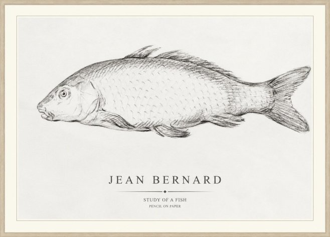 Jean Bernard Study of a Fish III No1 - Plakát