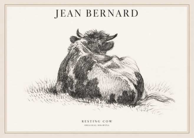 Jean Bernard Resting Highland Cow No6 - Plakát