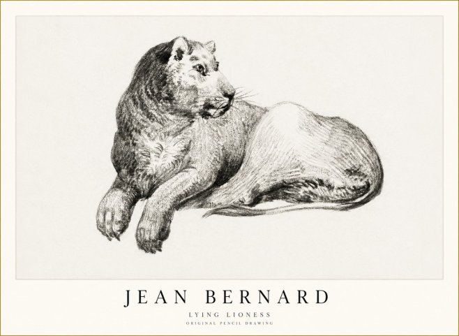 Jean Bernard Lying Lioness No1 - Plakát
