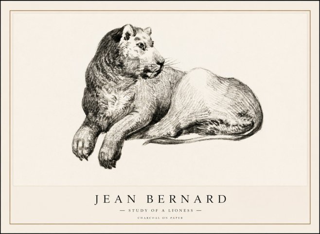 Jean Bernard Lying Lioness No2 - Plakát