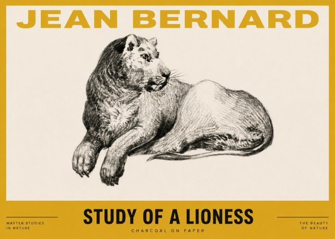 Jean Bernard Lying Lioness No4 - Plakát