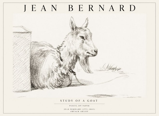 Jean Bernard Study of a Goat IV No1 - Plakát