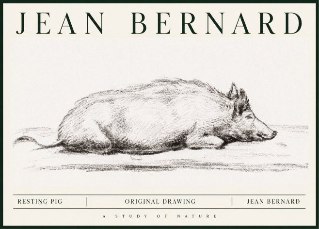 Jean Bernard Resting Pig I No1 - Plakát