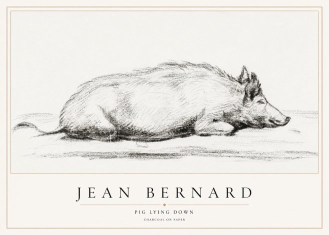 Jean Bernard Resting Pig I No2 - Plakát