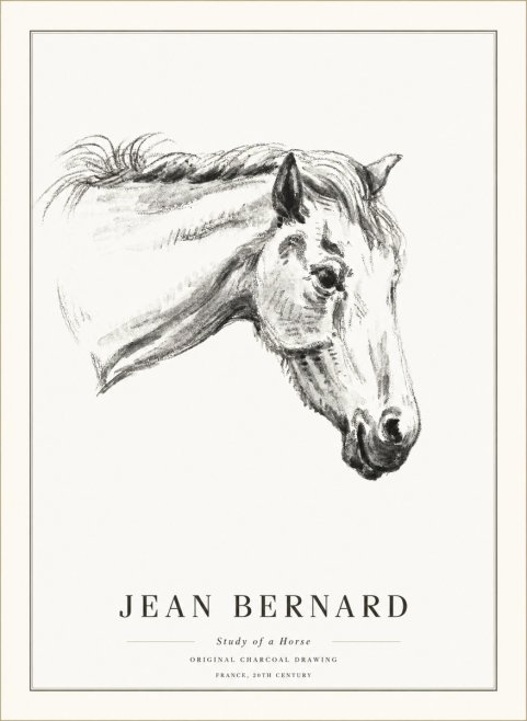 Jean Bernard Study of a Horse VIII No5 - Plakát