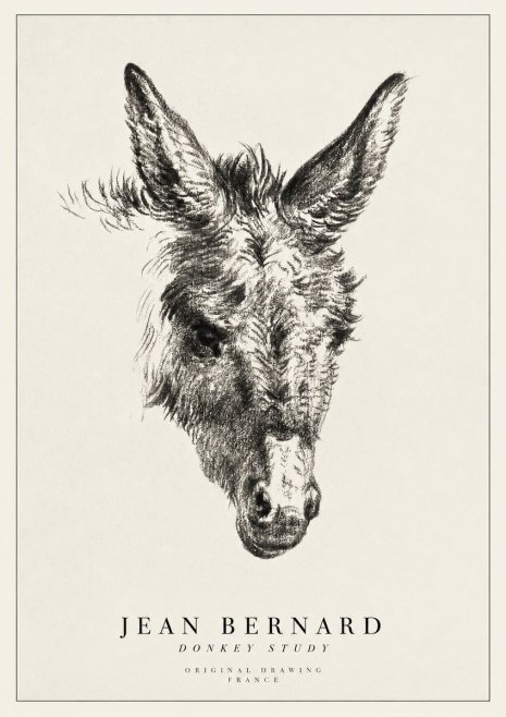 Jean Bernard Donkey Study IV No1 - Plakát