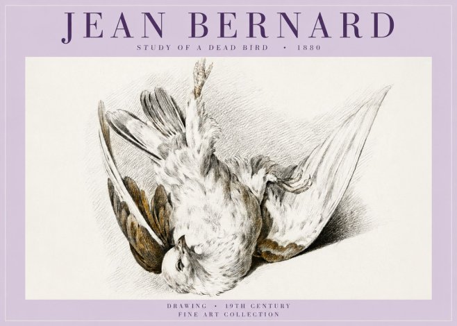 Jean Bernard Study of a Dead Bird No5 - Plakát