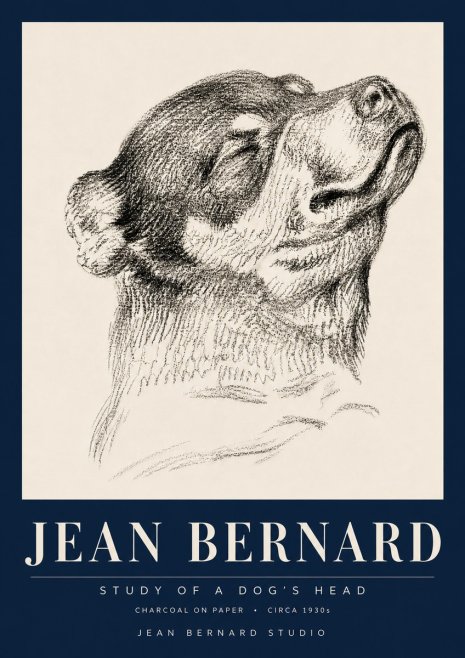 Jean Bernard Study of a Dog III No6 - Plakát