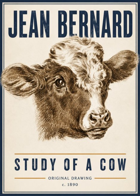 Jean Bernard Study of a Cow VIII No6 - Plakát