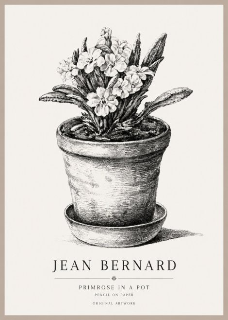 Jean Bernard Potted Primrose No2 - Plakát