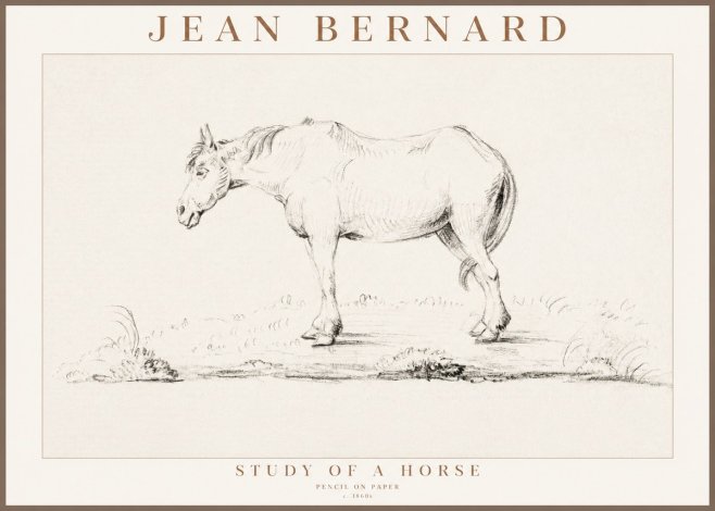 Jean Bernard Study of a Horse IX No3 - Plakát