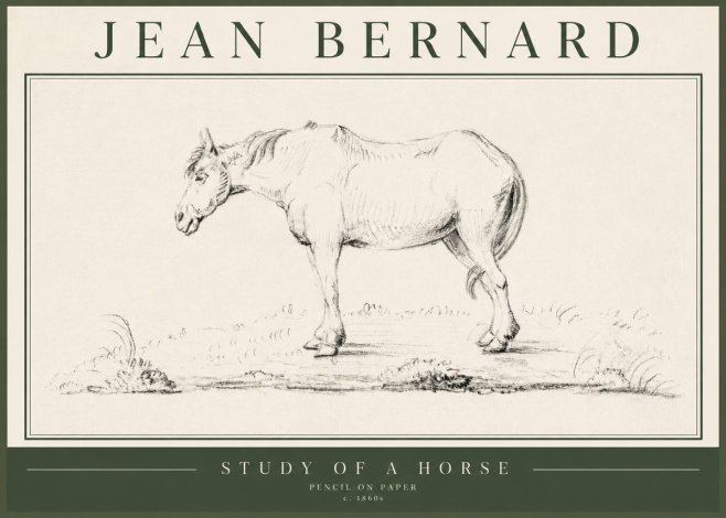 Jean Bernard Study of a Horse IX No5 - Plakát