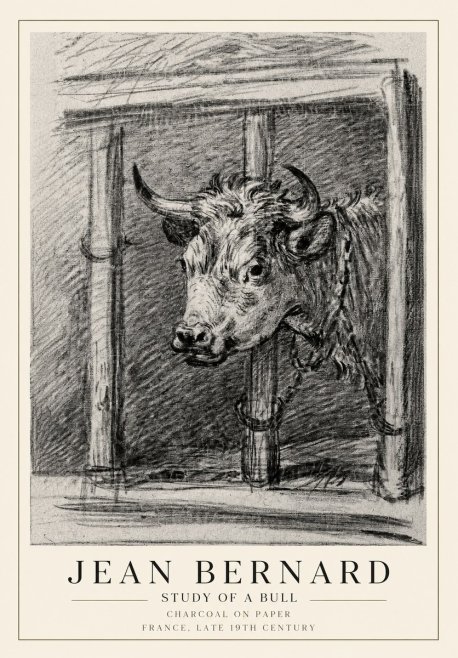 Jean Bernard Study of a Bull II No1 - Plakát