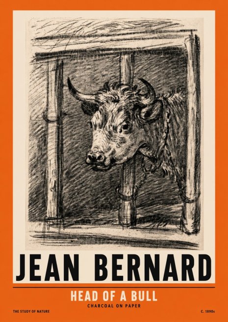 Jean Bernard Study of a Bull II No3 - Plakát