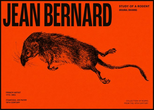 Jean Bernard Study of a Rat II No6 - Plakát