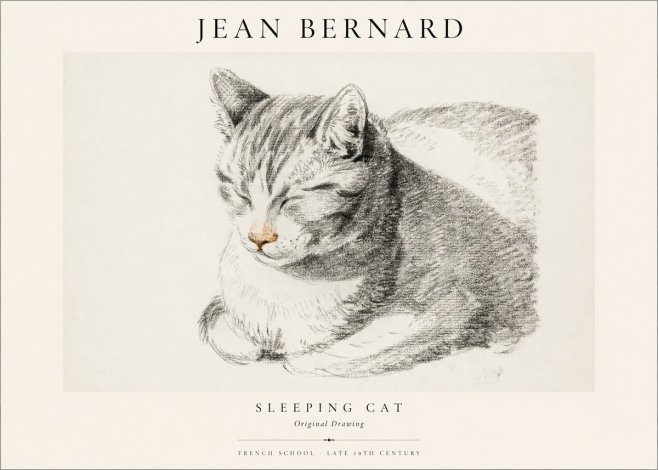 Jean Bernard Sleeping Cat VI No1 - Plakát