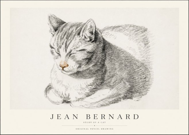 Jean Bernard Sleeping Cat VI No2 - Plakát