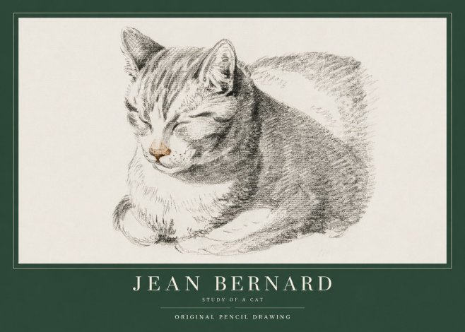 Jean Bernard Sleeping Cat VI No4 - Plakát