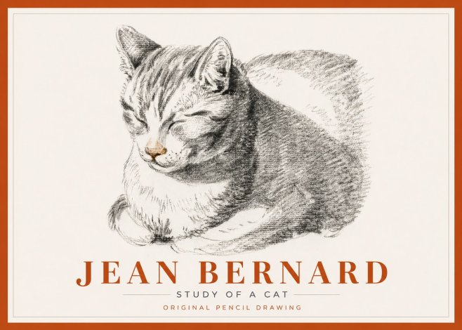 Jean Bernard Sleeping Cat VI No6 - Plakát