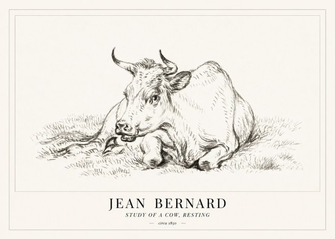 Jean Bernard Study of a Cow, Resting No1 - Plakát