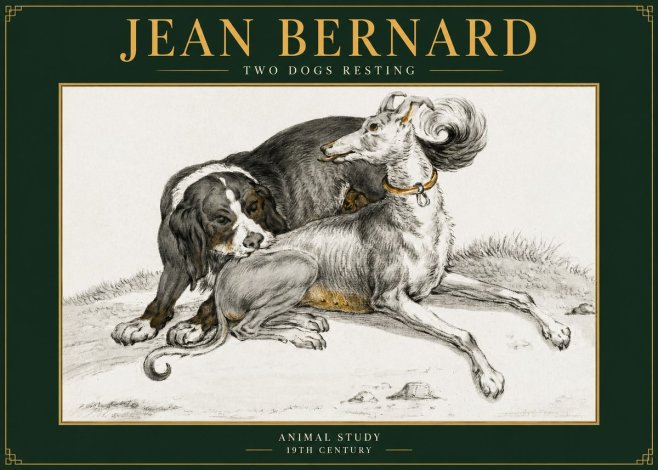 Jean Bernard Two Dogs Resting No5 - Plakát