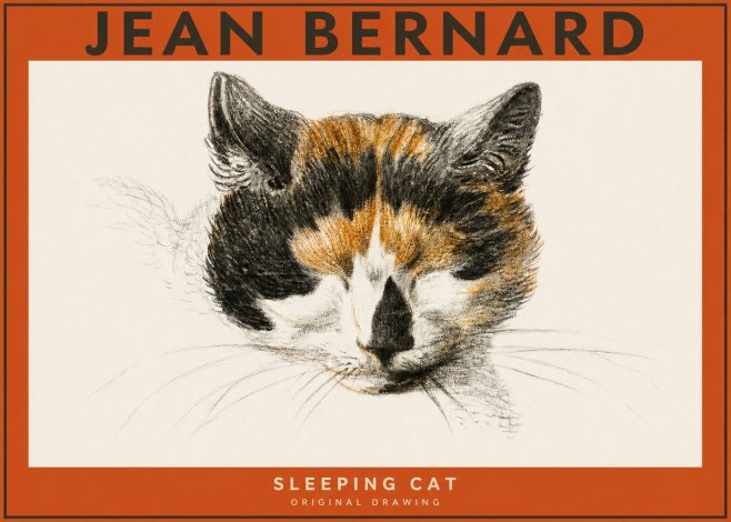 Jean Bernard Cat Study VIII No5 - Plakát