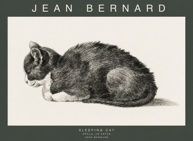 Jean Bernard Sleeping Cat VII No1 - Plakát