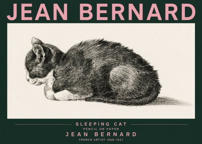 Jean Bernard Sleeping Cat VII No3 - Plakát