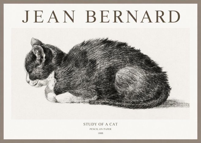 Jean Bernard Sleeping Cat VII No6 - Plakát