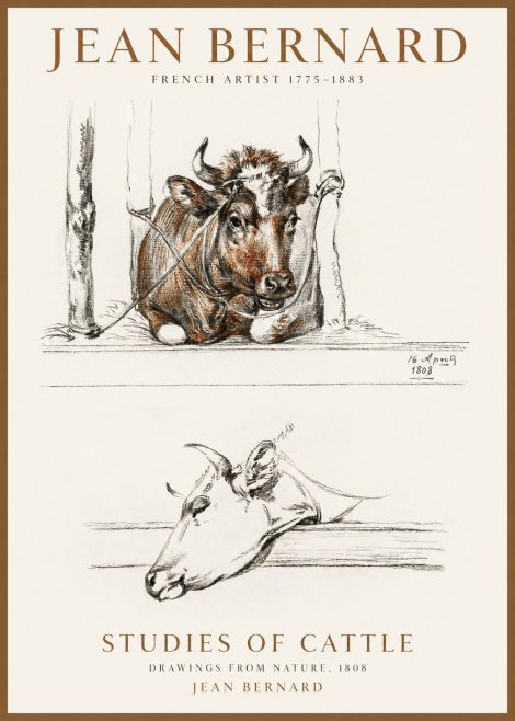 Jean Bernard Studies of Cattle III No1 - Plakát