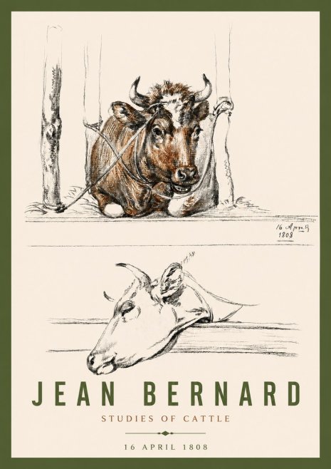 Jean Bernard Studies of Cattle III No4 - Plakát