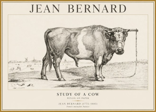 Jean Bernard Study of a Bull III No5 - Plakát