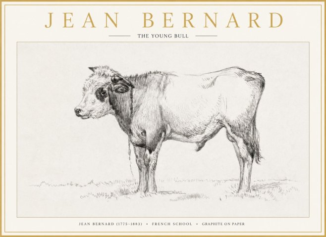Jean Bernard The Young Bull No1 - Plakát