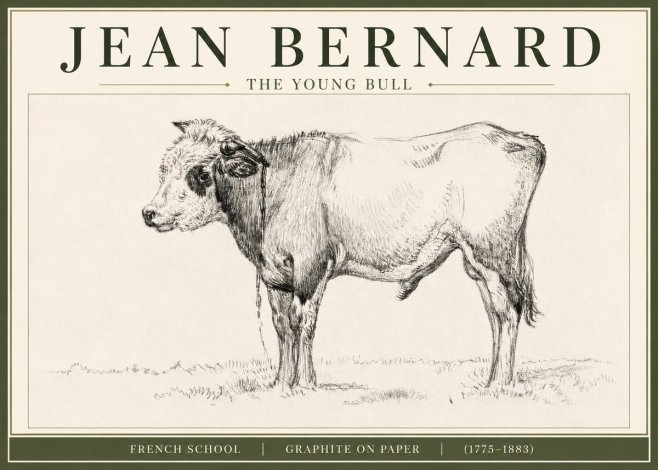 Jean Bernard The Young Bull No3 - Plakát