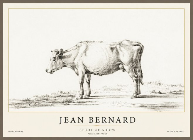 Jean Bernard Study of a Cow XI No1 - Plakát