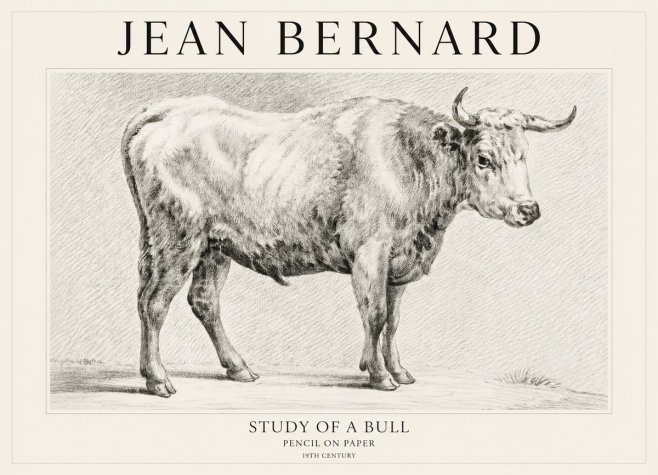 Jean Bernard Study of a Bull IV No1 - Plakát