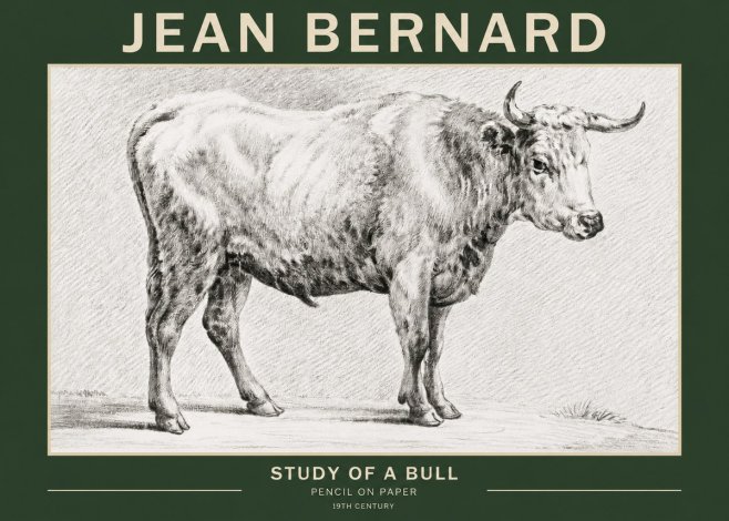 Jean Bernard Study of a Bull IV No2 - Plakát