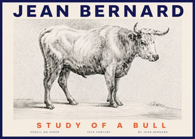 Jean Bernard Study of a Bull IV No4 - Plakát