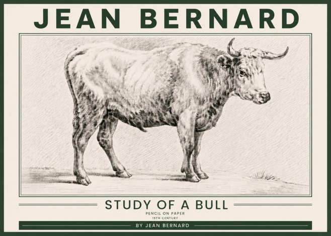 Jean Bernard Study of a Bull IV No5 - Plakát