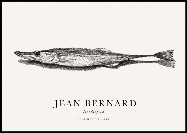 Jean Bernard Needlefish No1 - Plakát