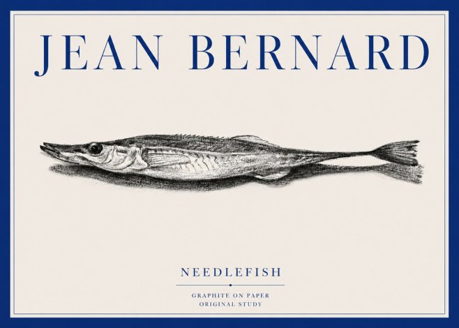 Jean Bernard Needlefish No3 - Plakát