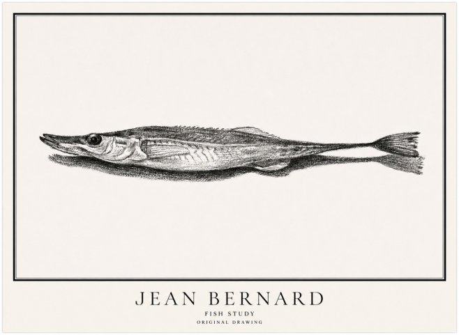 Jean Bernard Needlefish No5 - Plakát
