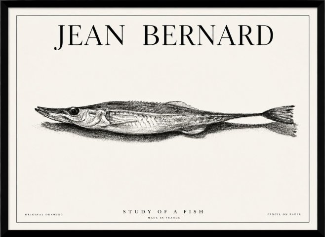 Jean Bernard Needlefish No6 - Plakát