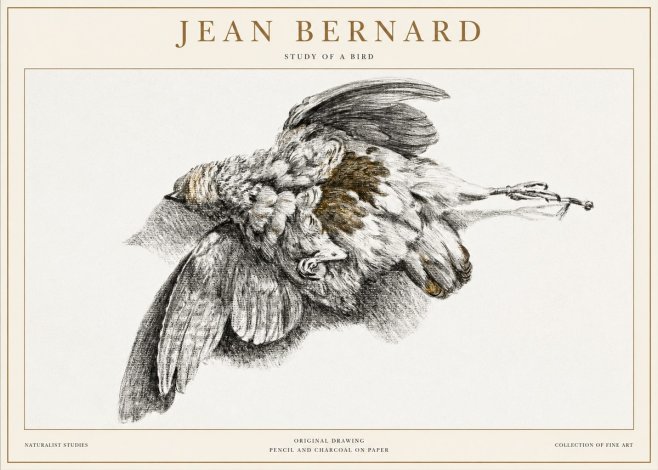 Jean Bernard Study of a Bird III No1 - Plakát